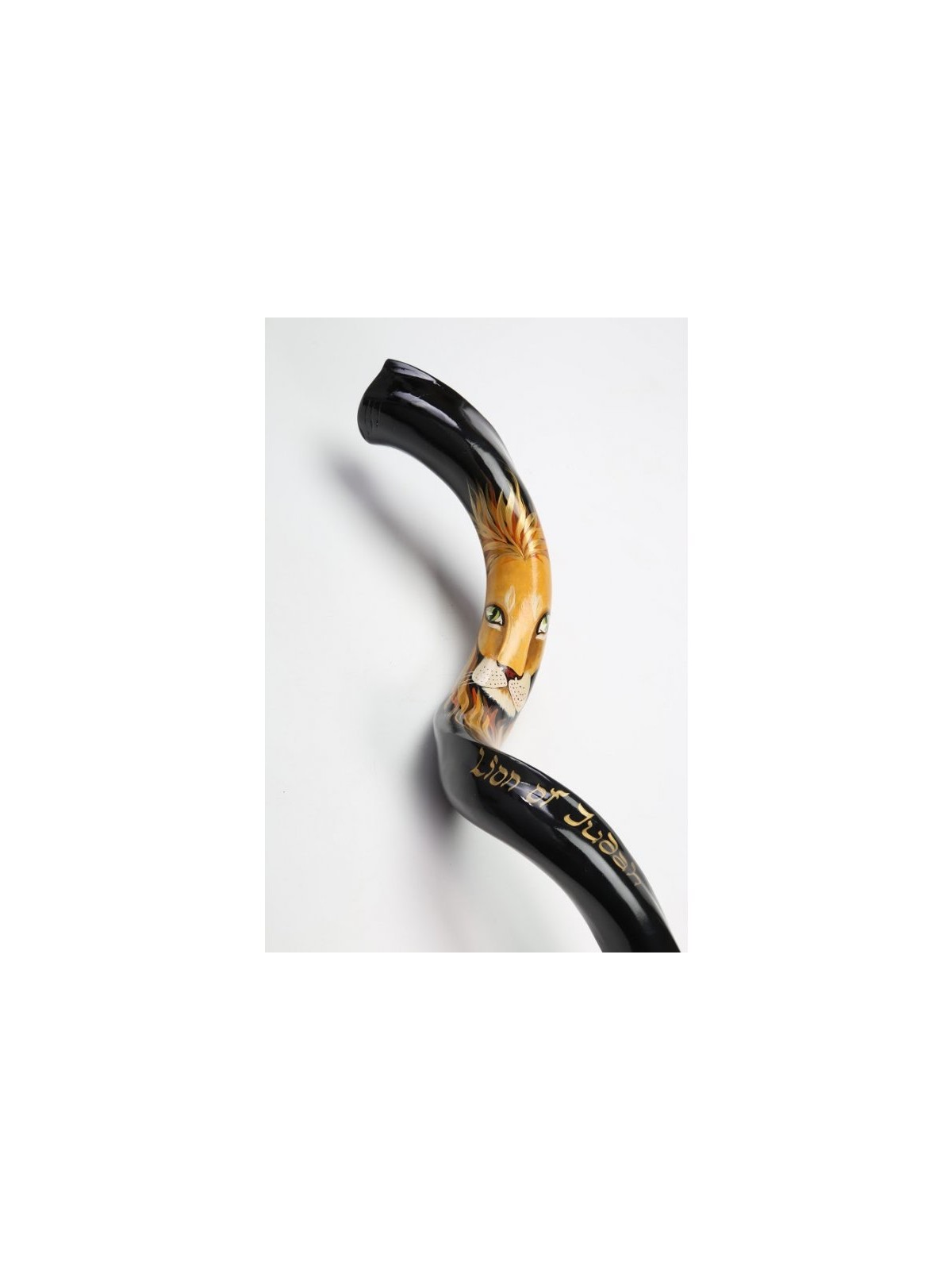 Hand Painted Yemenite Shofar Lion of Judah | Decorated Shofars