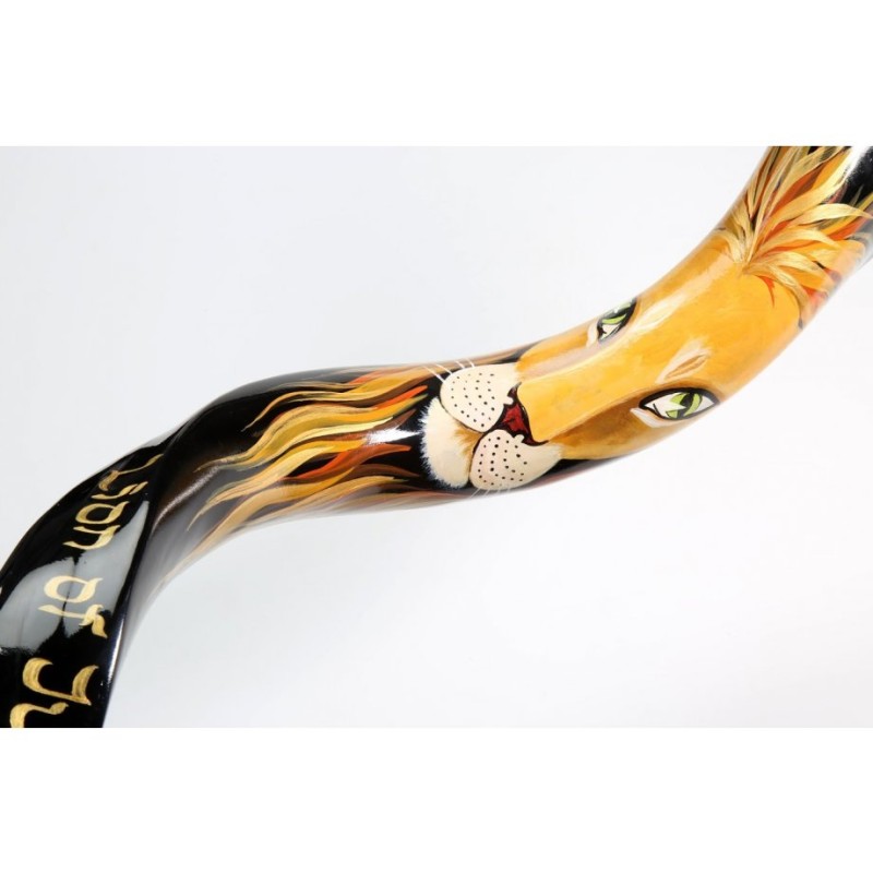 Hand Painted Yemenite Shofar Lion of Judah | Decorated Shofars