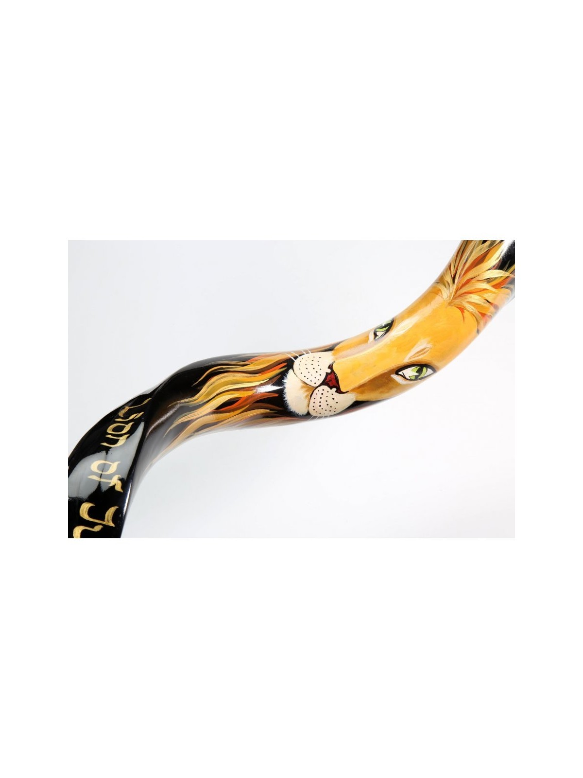Hand Painted Yemenite Shofar Lion of Judah | Decorated Shofars