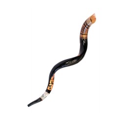 Collectors Hand Painted Yemenite Shofar Temple ... | Decorated Shofars