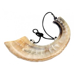 Painted Dove of Peace Anointing Rams Horn Shofar | Decorated Shofars