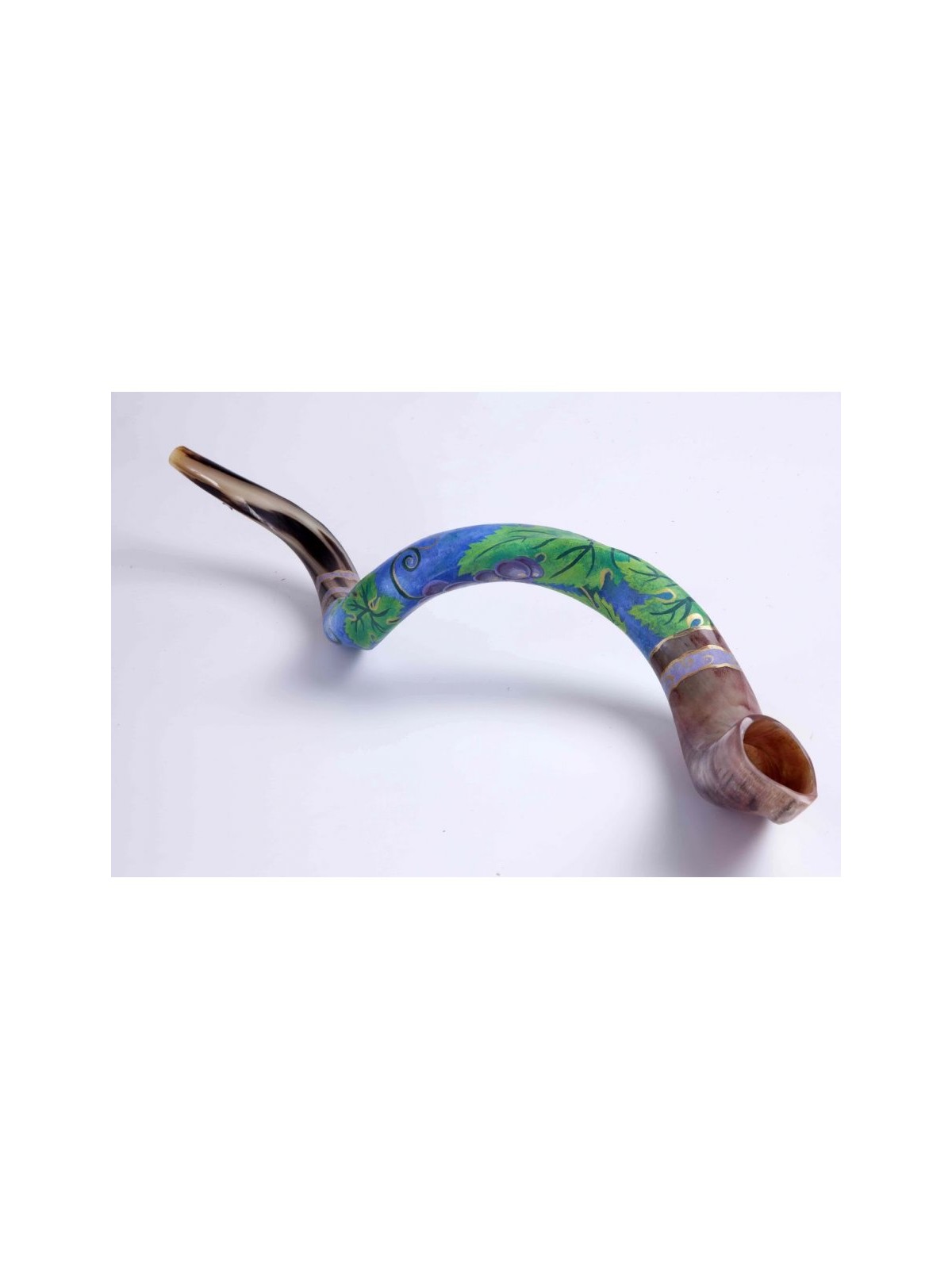 Hand Painted Yemenite Shofar Grape Cluster | Decorated Shofars