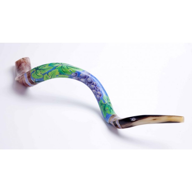 Hand Painted Yemenite Shofar Grape Cluster | Decorated Shofars