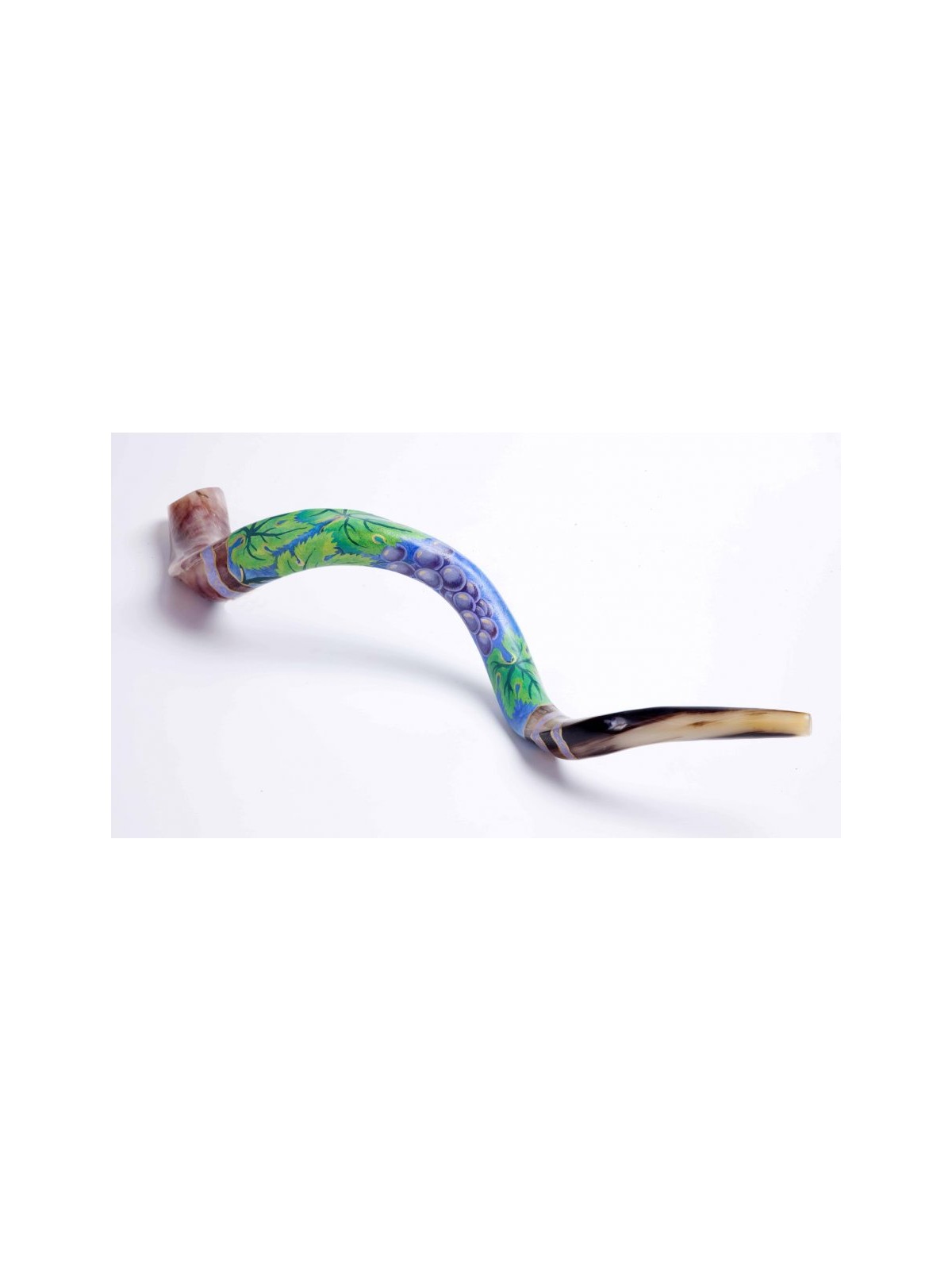 Hand Painted Yemenite Shofar Grape Cluster | Decorated Shofars