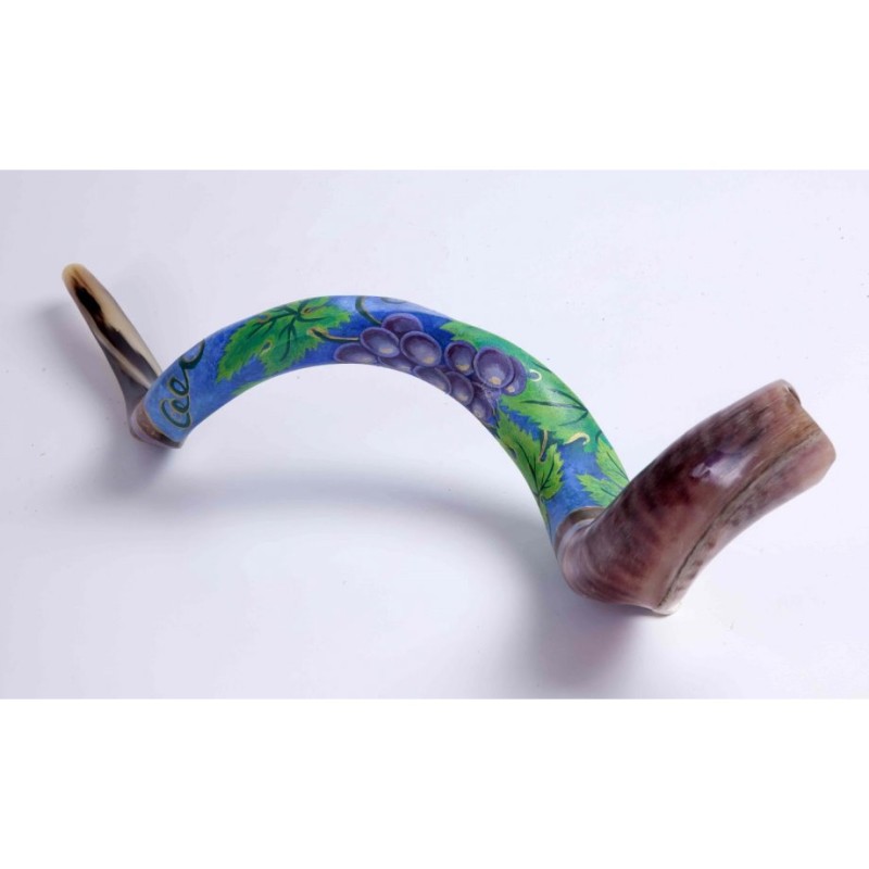 Hand Painted Yemenite Shofar Grape Cluster | Decorated Shofars