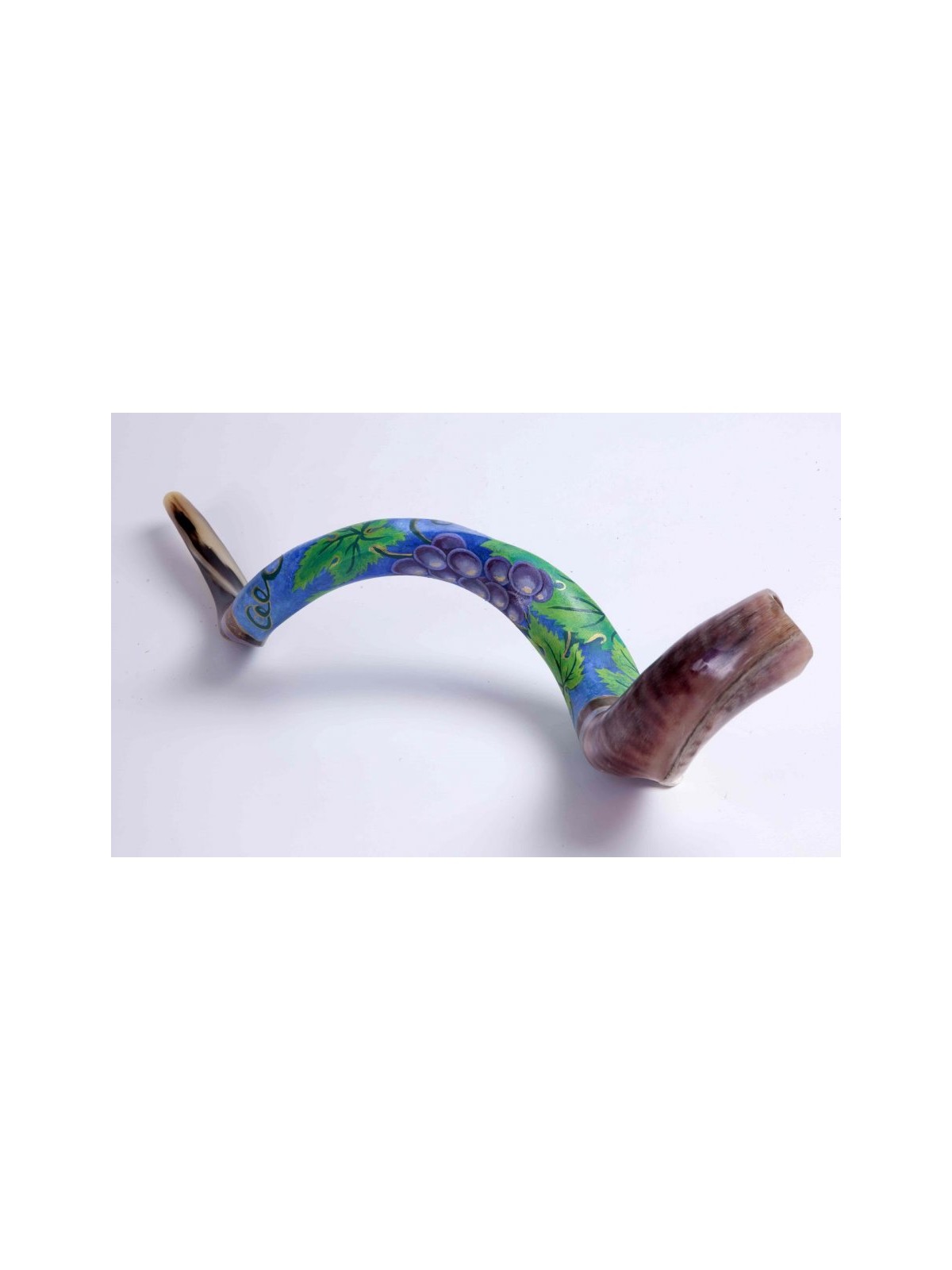 Hand Painted Yemenite Shofar Grape Cluster | Decorated Shofars