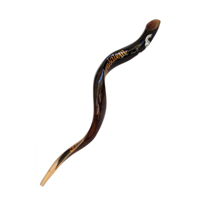 Collectors Hand Painted Yemenite Shofar Peace o... | Decorated Shofars