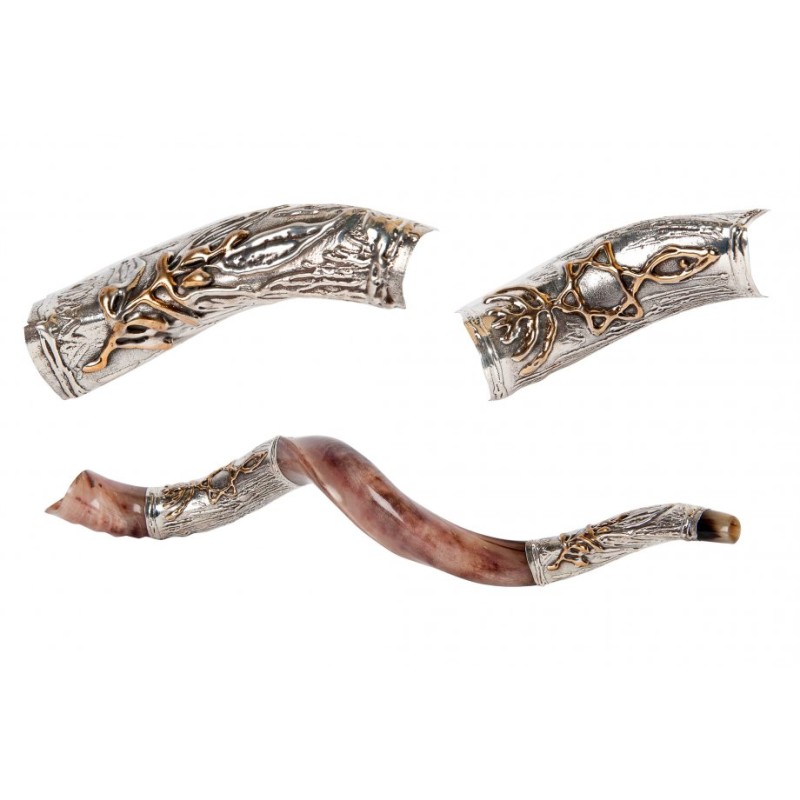 Seven Branch Menorah Star of David Sterli... | Sterling Silver Shofars