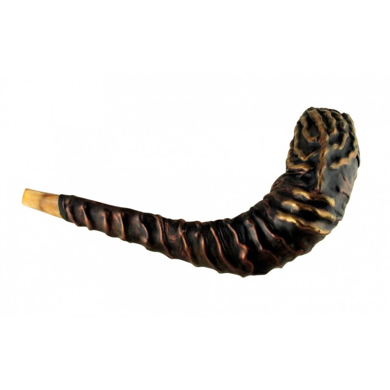 Distinctive Leather bound Rams Horn Shofar %96 ... | Decorated Shofars
