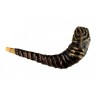 Distinctive Leather bound Rams Horn Shofar %96 ... | Decorated Shofars