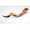 Hand Painted Yemenite Shofar Jerusalem | Decorated Shofars