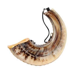 Anointing Painted Rams Horn Shofar Fish Design | Decorated Shofars