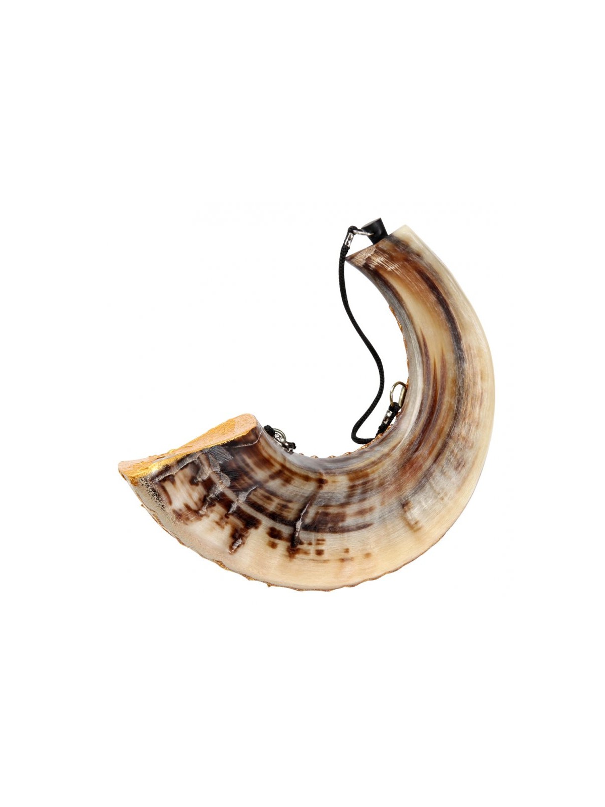 Anointing Painted Rams Horn Shofar Fish Design | Decorated Shofars