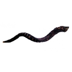 Majestic Leather bound Jumbo Yemenite Shofar St... | Decorated Shofars