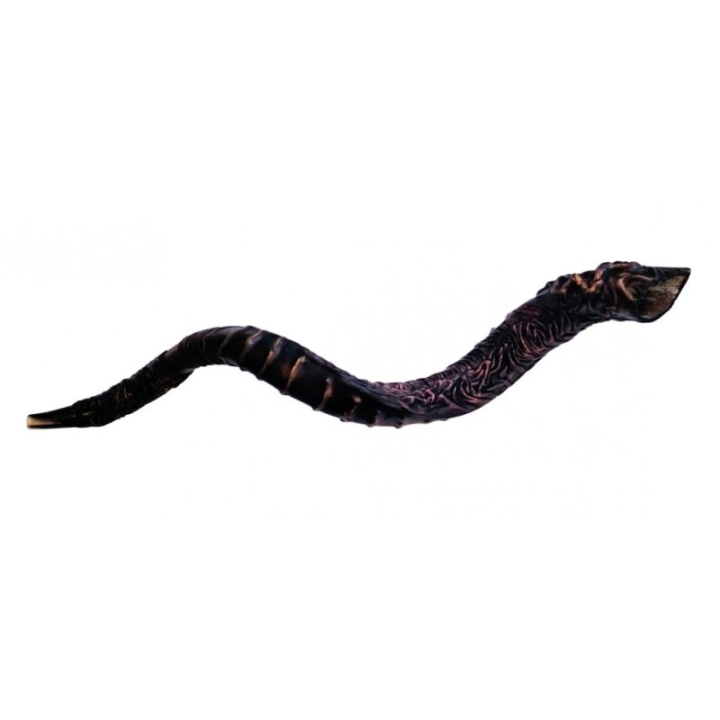 Majestic Leather bound Jumbo Yemenite Shofar St... | Decorated Shofars