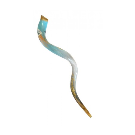 Collectors Hand Painted Yemenite Shofar Jerusal... | Decorated Shofars