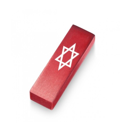 Adi Sidler Anodized Aluminum Car Mezuzah Star Of Davi... | Car Mezuzah