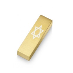 Adi Sidler Anodized Aluminum Car Mezuzah Star of Davi... | Car Mezuzah