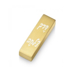 Adi Sidler Brushed Aluminum Car Mezuzah Bon Voyage in... | Car Mezuzah