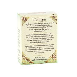 Galilee Anointing Oil Lily of the Valley 12 ml | Anointing Oil