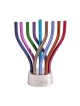 Yair Emanuel Flames Image Chanukah Menorah Multi... | Hanukkah Menorah