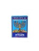 Chanukah Candles in Assorted Colors Small Size Box of 44 | Top Sellers
