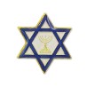 Star of David Blue White Lapel Pin | Lapel Pins