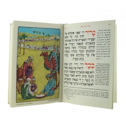 Pesach Haggadah with English Translation Ha... | Haggadah for Passover