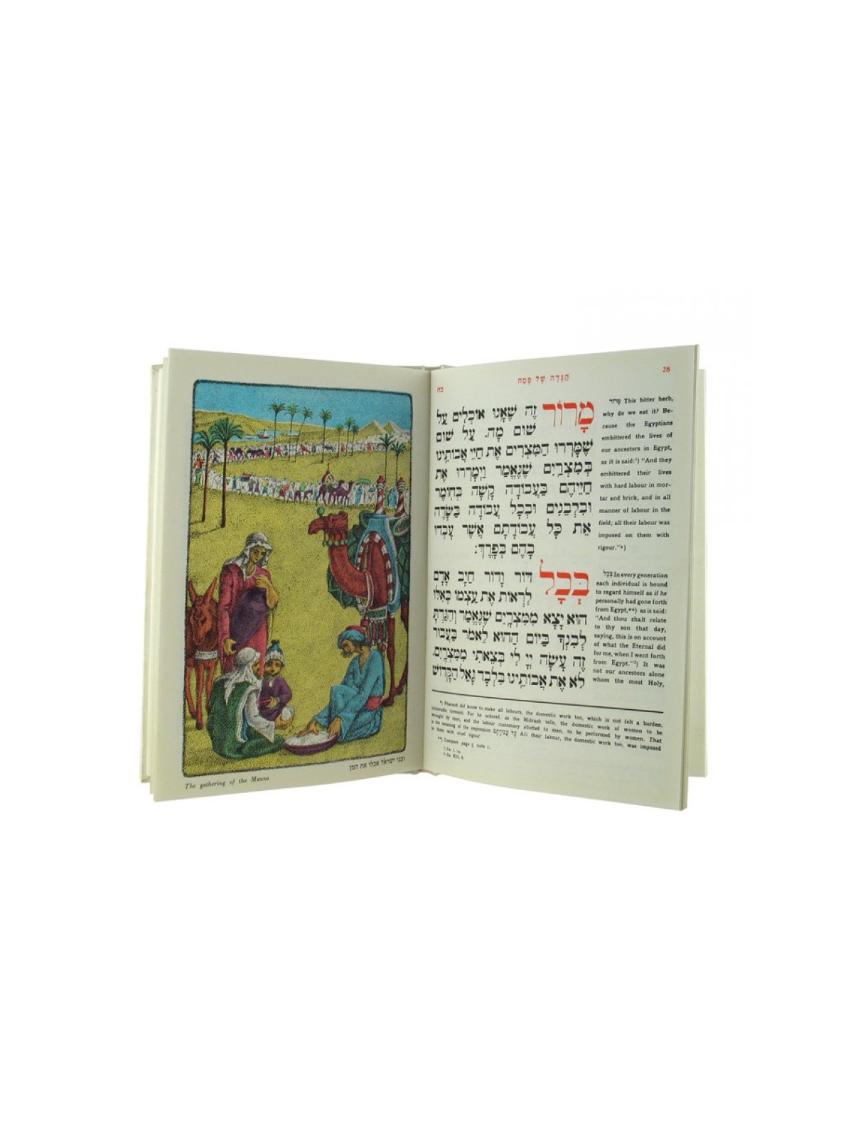 Haggadah de Pessa'h avec traduction en anglais Ha... | Haggadah pour Pâque