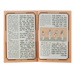 Pesach Haggadah with French Translation Sof... | Haggadah for Passover