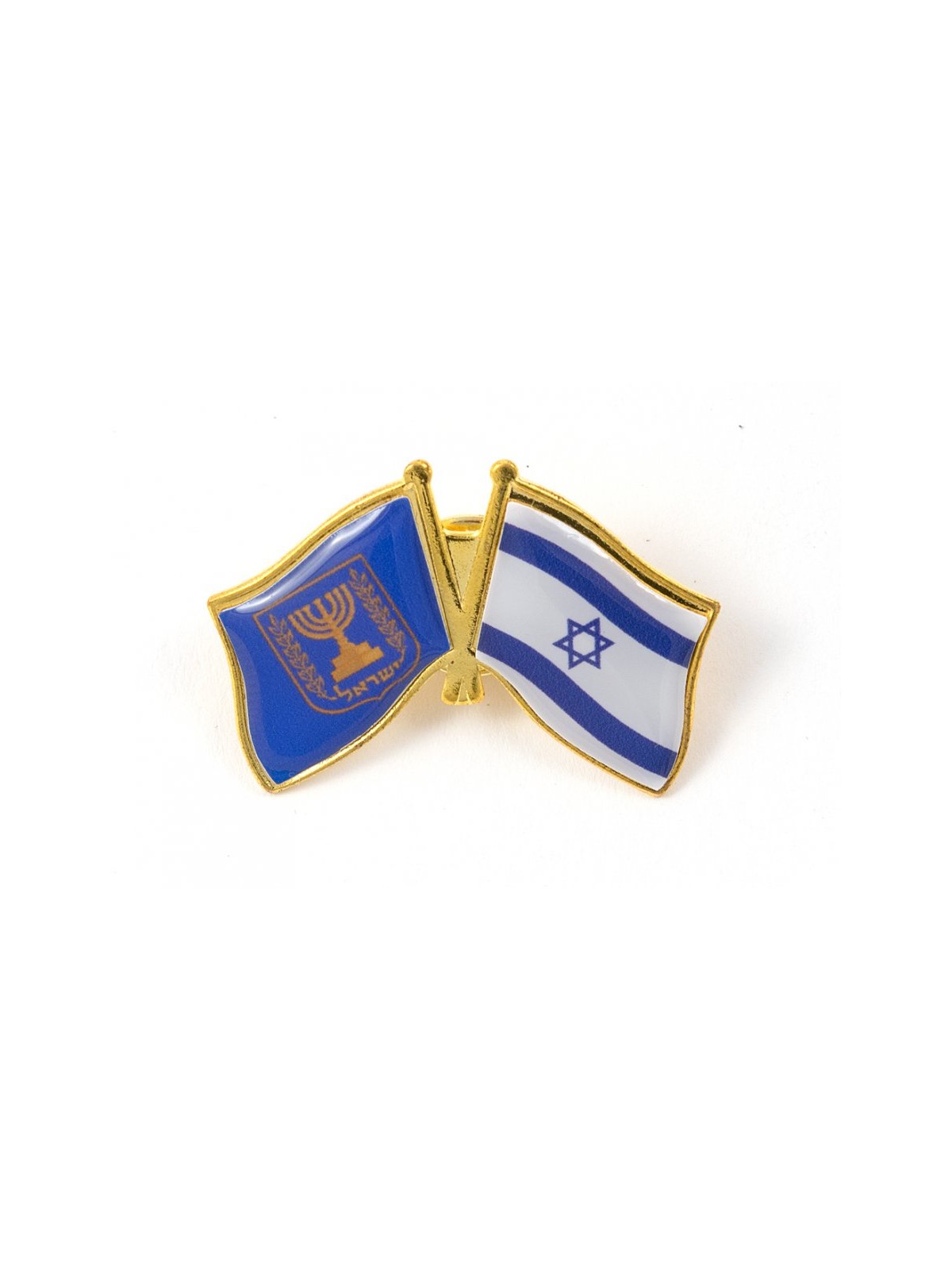 Israel Knesset Flags Lapel Pin | Israel Flag