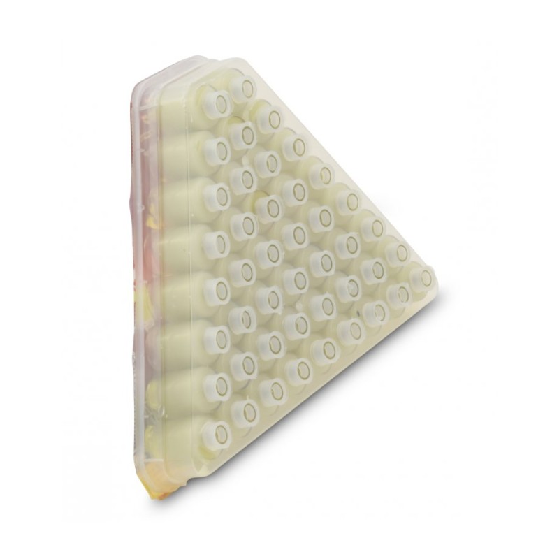 Ready to Light Chanukah Menorah Pre filled Cups wit... | Oil & Candles