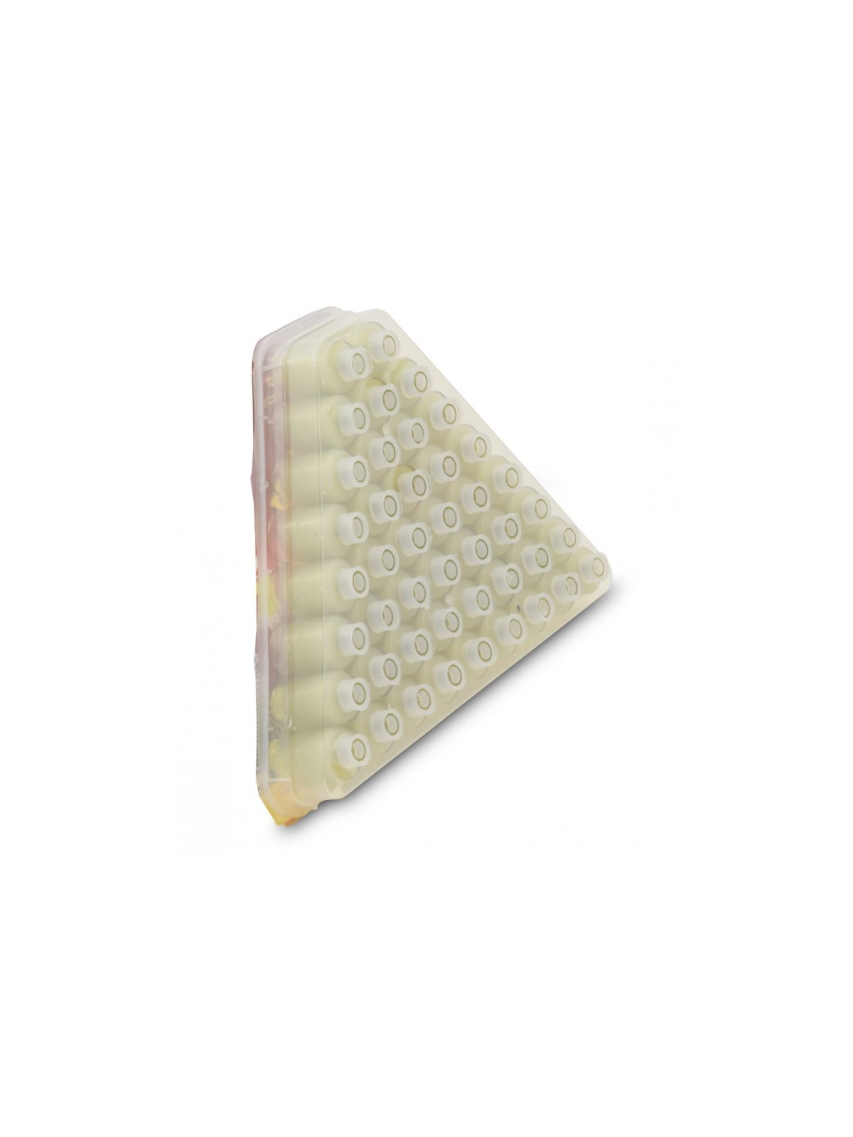 Ready to Light Chanukah Menorah Pre filled Cups wit... | Oil & Candles