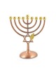 Bronze Color Chanukah Menorah with Star of David... | Hanukkah Menorah