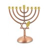 Bronze Color Chanukah Menorah with Star of David... | Hanukkah Menorah