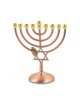Bronze Color Chanukah Menorah with Star of David... | Hanukkah Menorah