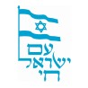 Patriotic T Shirt Israeli Flag and Am Yisra... | Purim Music and Gifts