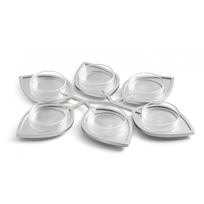 Israel Museum Silver Anodized Aluminum Raised Passov... | Seder Plates