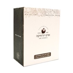 Chanukah Menorah Curved Branches with Integrated... | Hanukkah Menorah