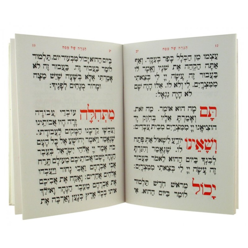 Haggadah de Pessa'h illustrée | Haggadah pour Pâque
