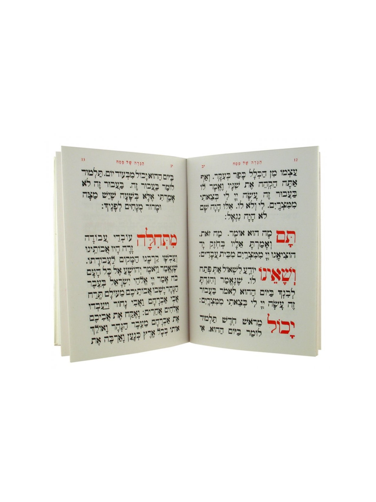Illustrated Pesach Haggadah | Haggadah for Passover