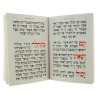 Illustrated Pesach Haggadah | Haggadah for Passover