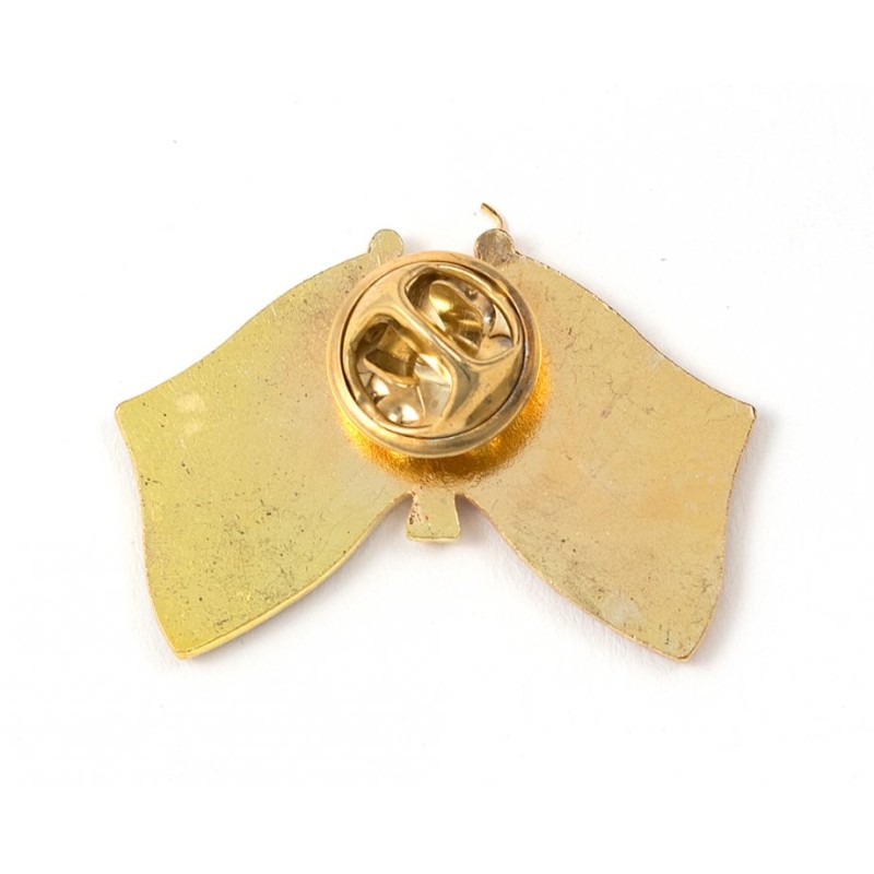 Israel Russia Flags Lapel Pin | Lapel Pins