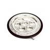 Pesach Passover Seder Plate Silver Plate on Wood Bas... | Seder Plates