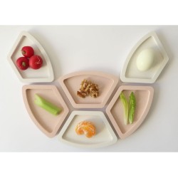 Graciela Noemi Handcrafted Modular Passover Seder Pl... | Seder Plates