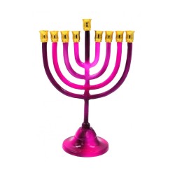 Shades of Fuchsia Chanukah Menorah on Stem Alumi... | Hanukkah Menorah