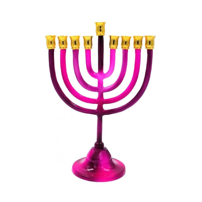 Shades of Fuchsia Chanukah Menorah on Stem Alumi... | Hanukkah Menorah