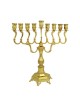 Hanukkah Menorah with Curving Branches Gold Color | Hanukkah Menorah