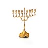 Small Chanukah Menorah with Ornate Swirling Bran... | Hanukkah Menorah
