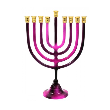 Shades of Pink Chanukah Menorah with Stem Alumin... | Hanukkah Menorah